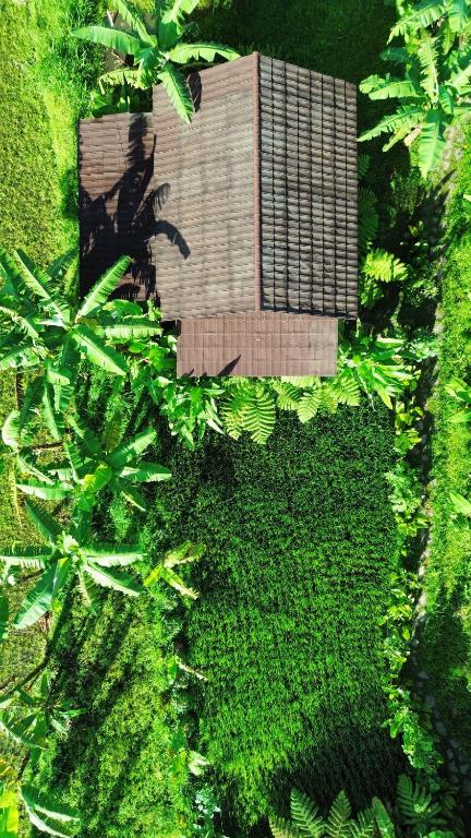 an overhead view of a garden with plants and a building at Opik Homestay Tete Batu in Tetebatu