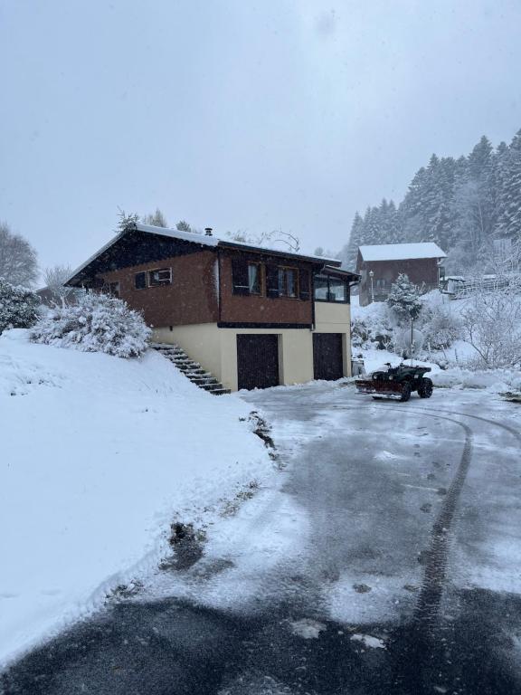 les biches du saut des cuves v zimě