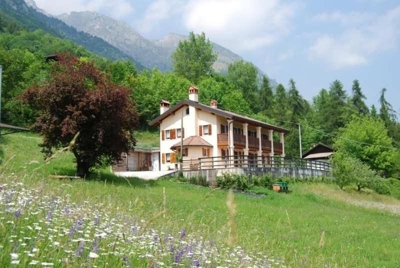 San Gregorio nelle Alpi,Das Haus Von Piero In San Gregorio Nelle Alpi的田野中央的一栋房子，前面是一片田野 sidx sidx