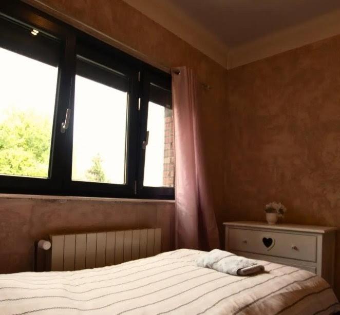 une chambre avec un lit et deux fenêtres dans l'établissement Maison confortable et calme, à Lens