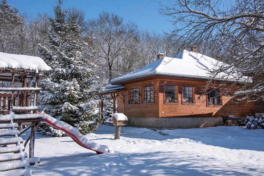 a log cabin in the snow with a slide at Halháza vendégház in Sirok