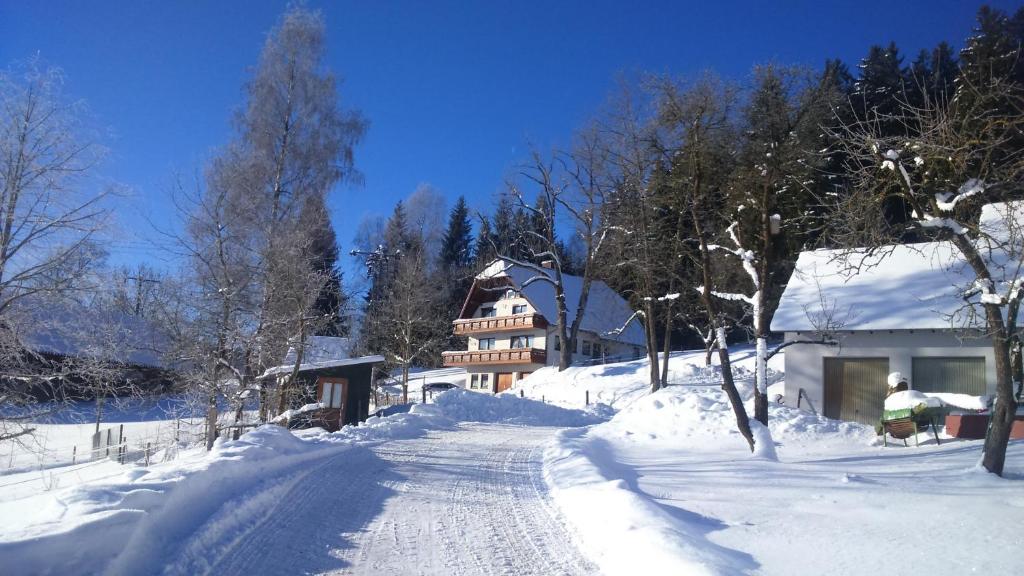 a snow covered road leading to a house at Ferienwohnung Ursprung in Sankt Georgen