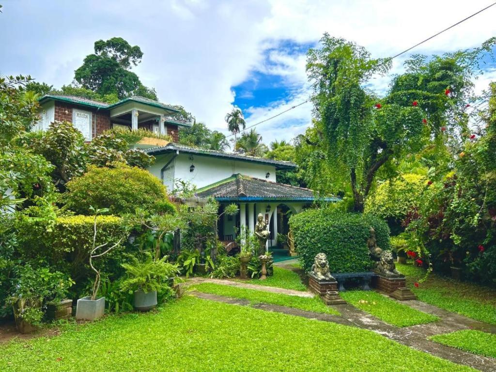 Κήπος έξω από το Derana Villa Hikkaduwa