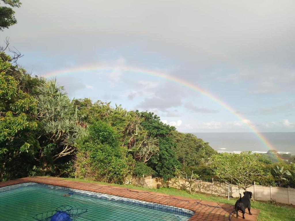 Ein Hund steht neben einem Swimmingpool mit einem Regenbogen in der Unterkunft Great sea view, swimming pool, braai, wi-fi in Port Shepstone