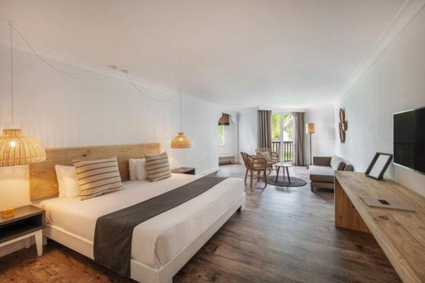 Ambre - Adults only - 13