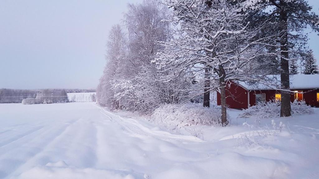 a snow covered road next to a red cabin at Talo Porokylä - Nurmes in Nurmes