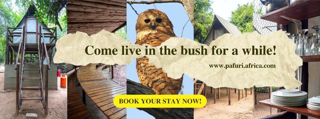 Φωτογραφία από το άλμπουμ του Pafuri Accommodation Rivercamp σε Tshikuyu