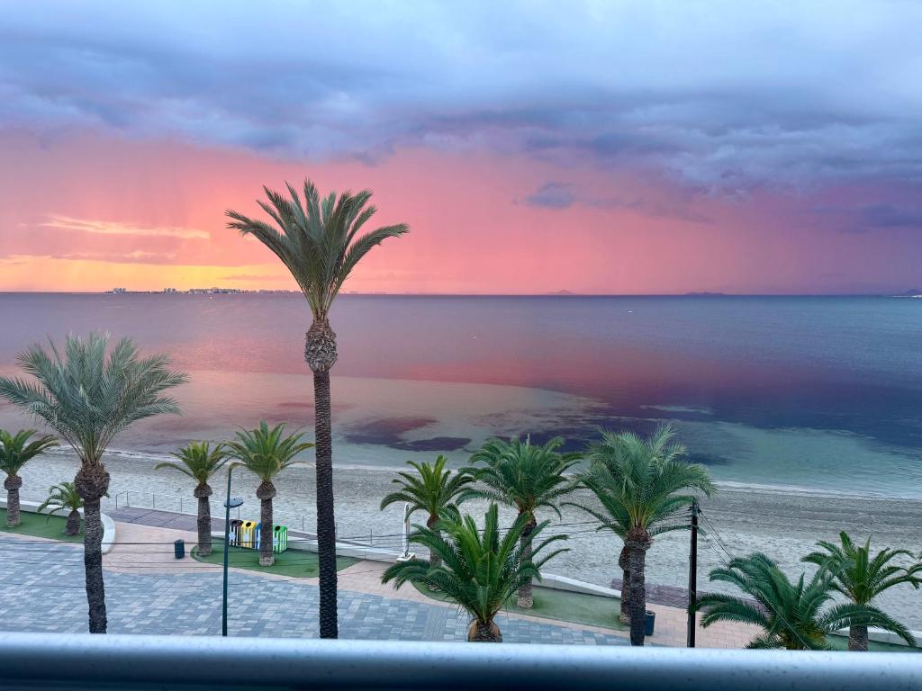 Blick auf einen Strand mit Palmen und Sonnenuntergang in der Unterkunft Hotel Neptuno in San Pedro del Pinatar