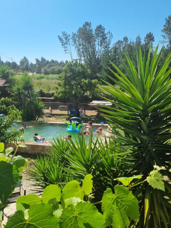 a group of people swimming in a pool at Yuccasa - Small Glamping Camping & Studio's in Pombal