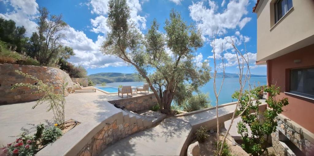 Природа в окрестностях дома для отпуска