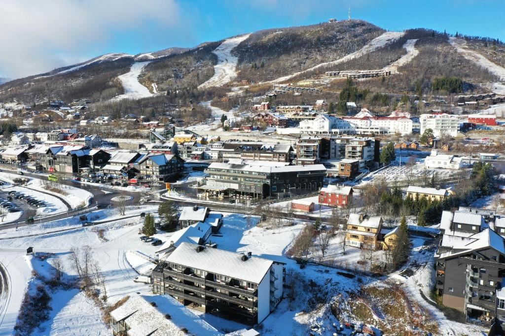 une ville recouverte de neige avec une montagne en arrière-plan dans l'établissement Central apartment - walking distance to everything, à Geilo