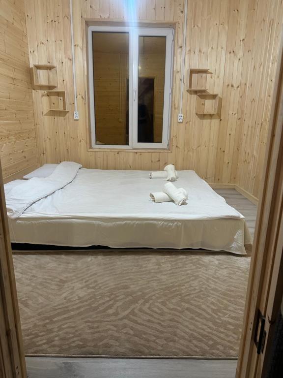 Afbeelding uit fotogalerij van GeshouseAselBarskoon in Barskoon