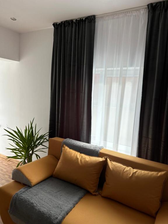 ein Sofa im Wohnzimmer mit Fenster in der Unterkunft Park House in Baia Mare