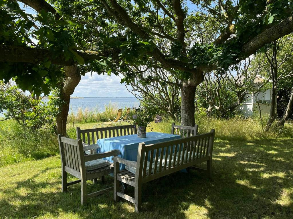 une table et deux bancs assis sous un arbre dans l'établissement Sommerhus Med Sjæl Få Skridt Fra Vandkanten, à Martofte