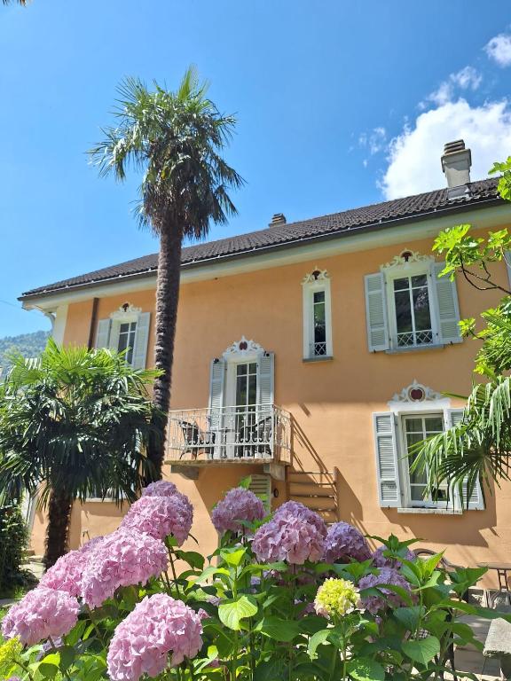 a house with pink flowers in front of it at Casa Belgeri in Dongio