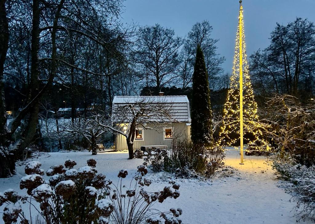 Το Dalsäter Kolmården τον χειμώνα