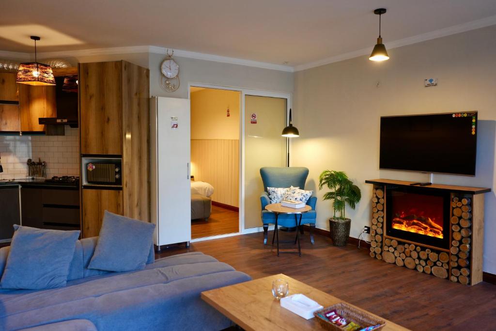 ein Wohnzimmer mit Couch und Kamin in der Unterkunft ORTUS Murree 2 in Murree
