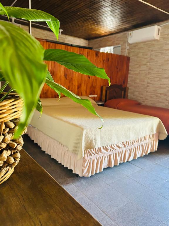 a bedroom with a bed with a table and a plant at Casa huésped in Rivera