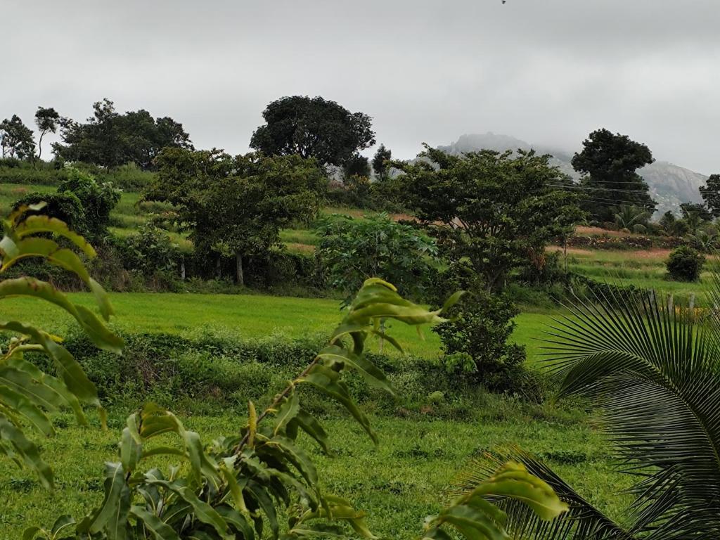 un campo de césped verde con árboles en el fondo en Peacock Abode Farm, en Bangalore