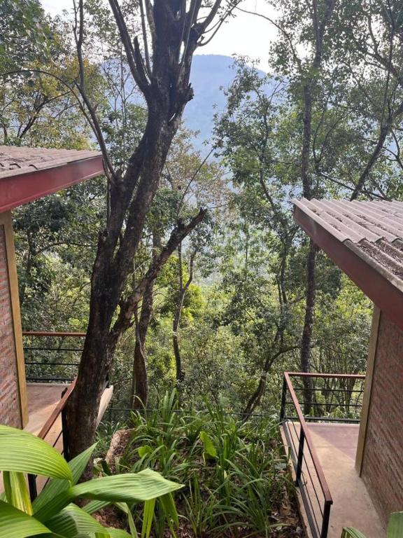 Kandy Bird Villas - 8