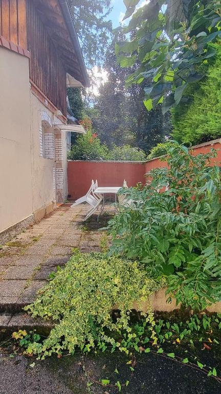 Charmant duplex avec terrasse - Quartier prisé – photo 5