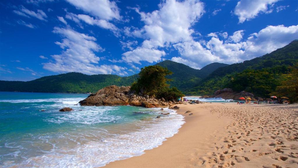 a beach with a tree in the middle of the water at Casa Azul Paraty in Paraty