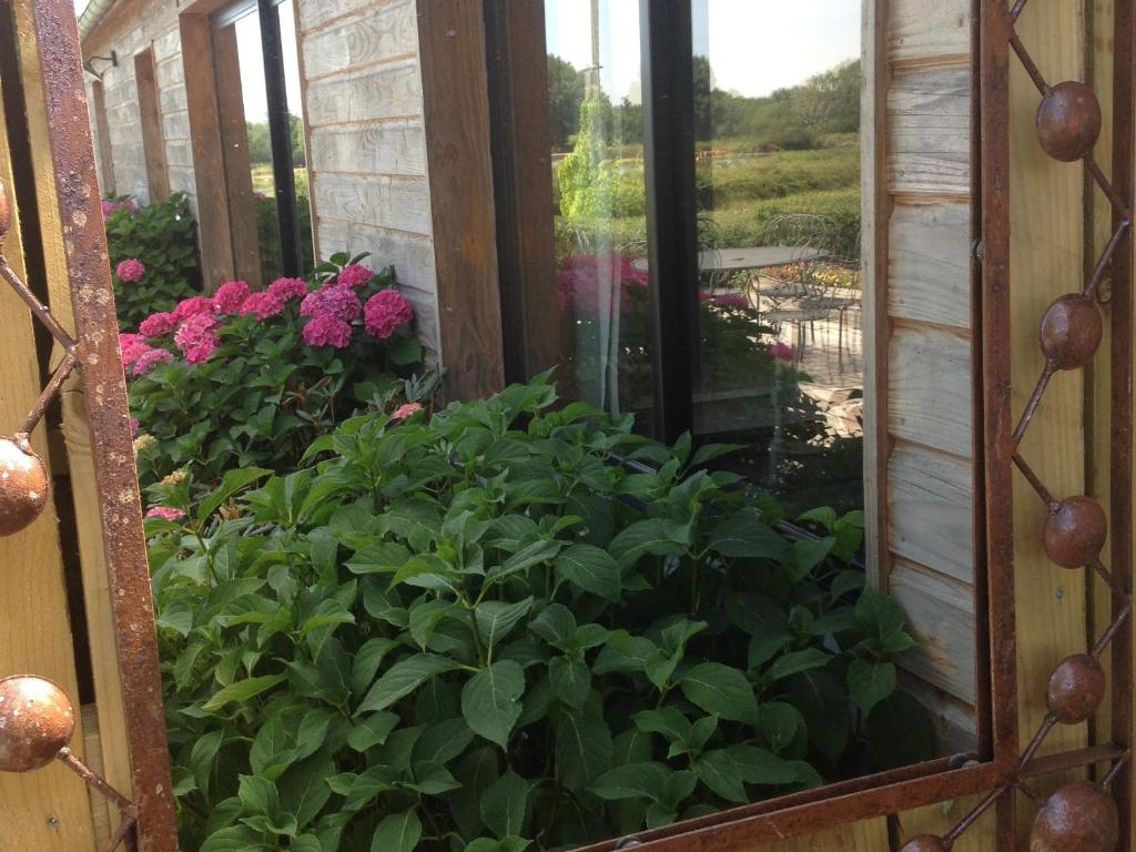 ein Fenster mit Blick auf einen Garten mit rosa Blumen in der Unterkunft Gîte en Berry au cœur du Parc Naturel avec jardin et parking, 3 chambres, cheminée - FR-1-591-157 in Mézières-en-Brenne
