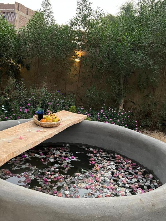 Κήπος έξω από το Gamandy Eco-Lodge