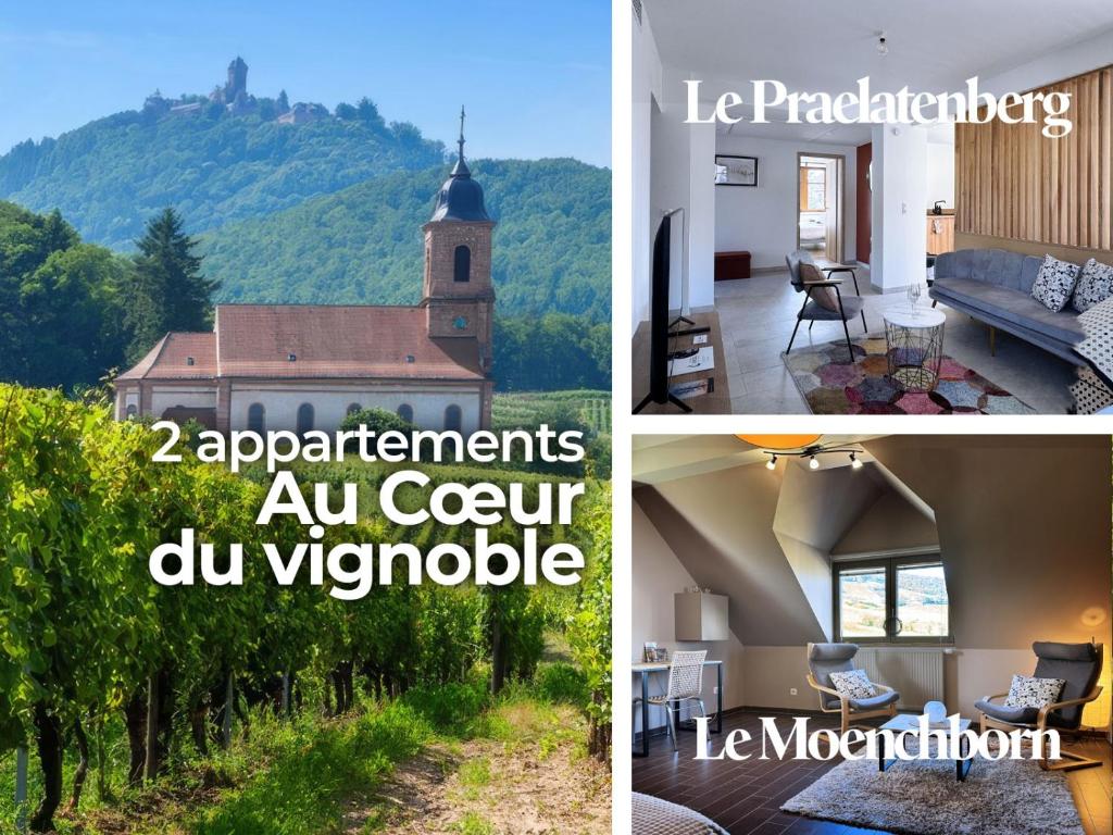 a collage of photos of a house with a mountain at Combo Praelatenberg 2 appartements dans la même maison in Orschwiller