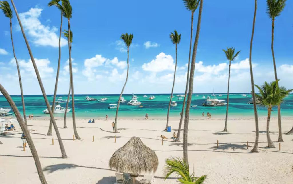 a group of palm trees on a beach with the ocean at PLAZA DUCASSI-SUITES AND STUDIOS- playa LOS CORALES in Punta Cana