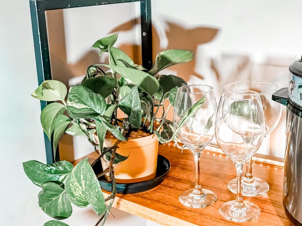 Nápoje v ubytování Loft 1178