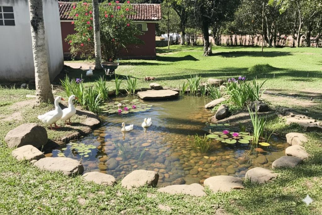 Billede fra billedgalleriet på Fazenda Riachão i Pojuca