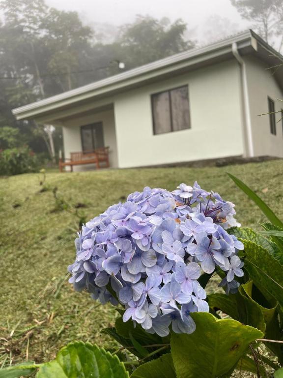 Foto sihtkohas Toro Amarillo asuva majutusasutuse Alojamiento con lago privado en Bajos del Toro galeriist