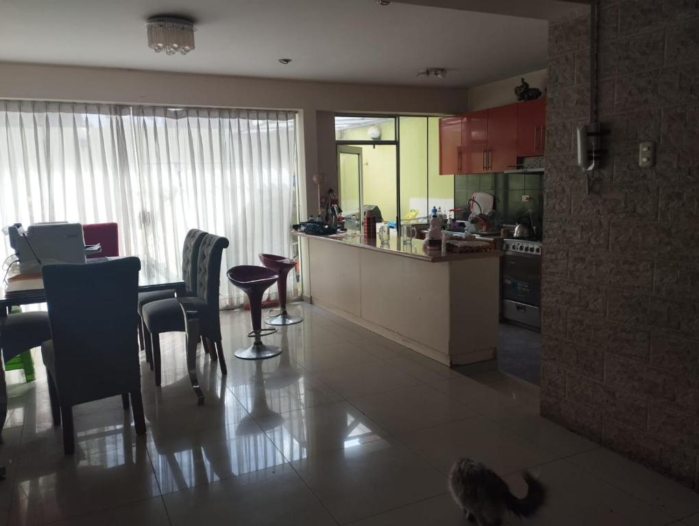 a kitchen and dining room with a cat walking around at La casa de Betty in Huancayo