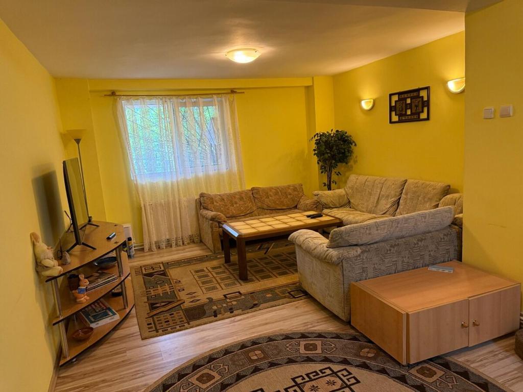 a living room with a couch and a table at Villa Bilugu in Valea de Brazi