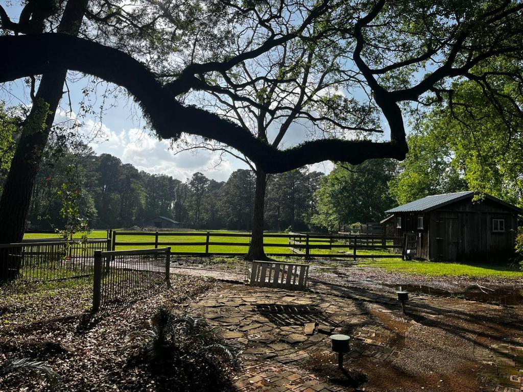 Trueheart Farm في Crosby: شجرة في حقل مع سور وحظيرة