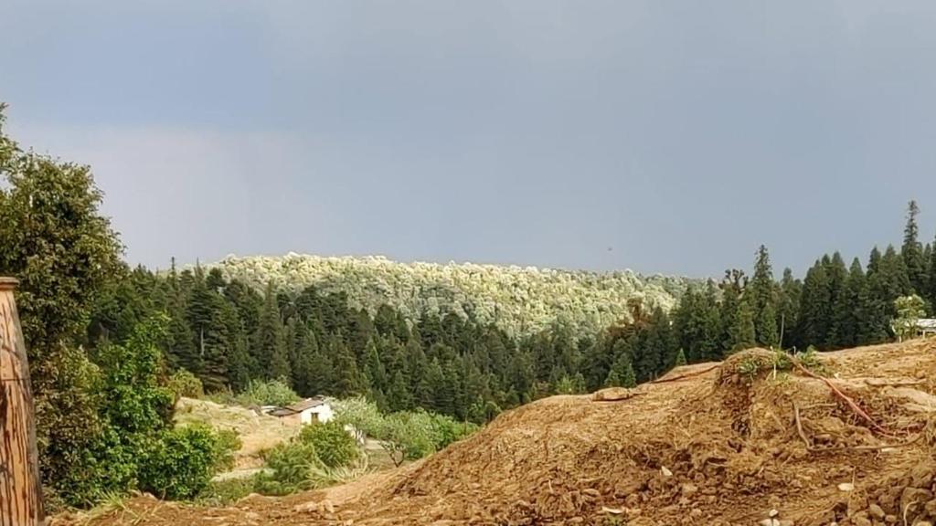 Foto sihtkohas Mukteswar asuva majutusasutuse Mukteshwar I Cujos Krest l Floor Heated Luxury Cottage galeriist