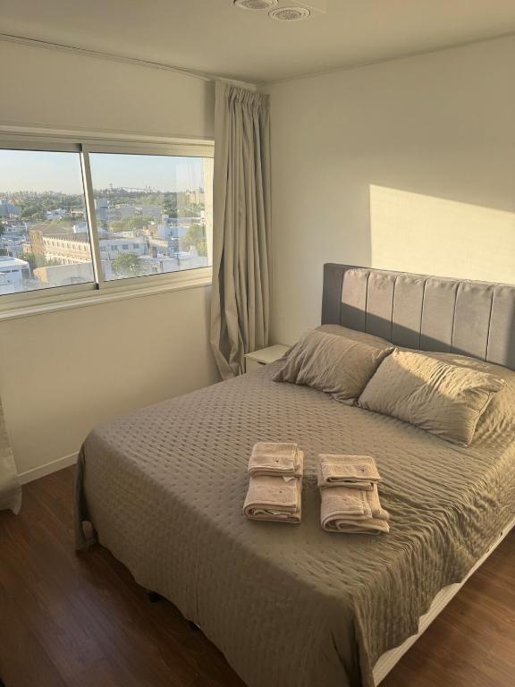 Depto 6p , 1 dormitorio mas sofá cama en living