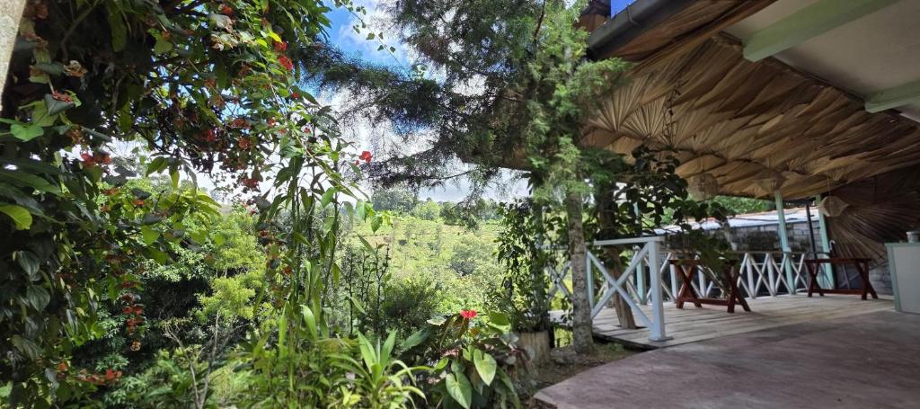 a porch of a house with plants and trees at Zen Garden Palace in Ella