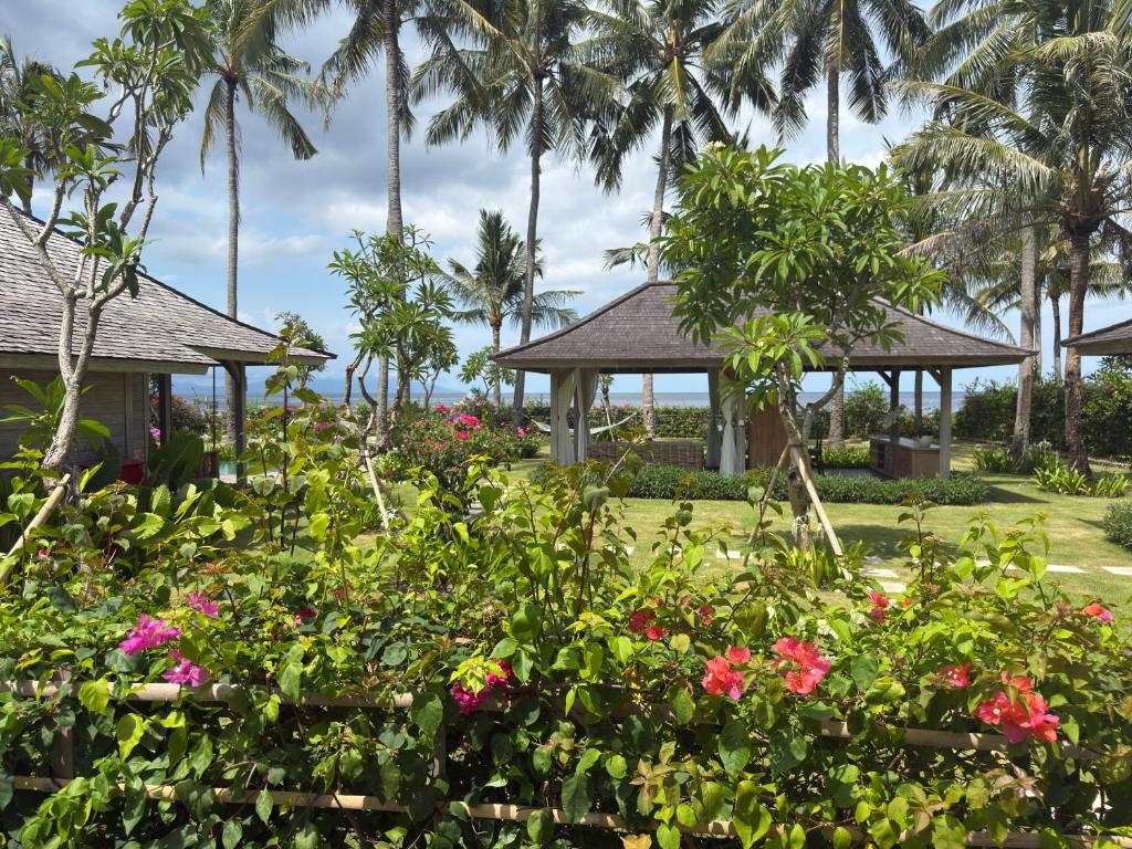 Seven Dreams A Pramana Experience - 12