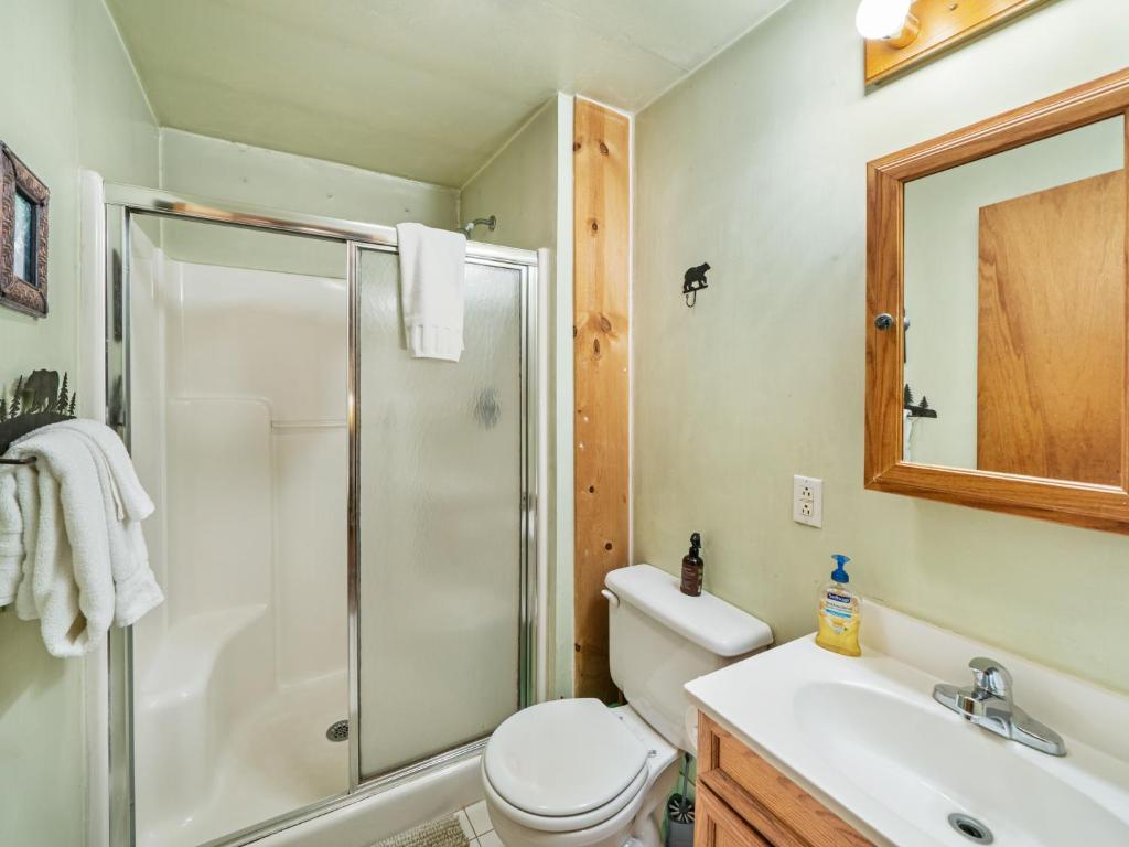 Good life cabin 2 · Bryson City cabin with hot tub and fire pit photo