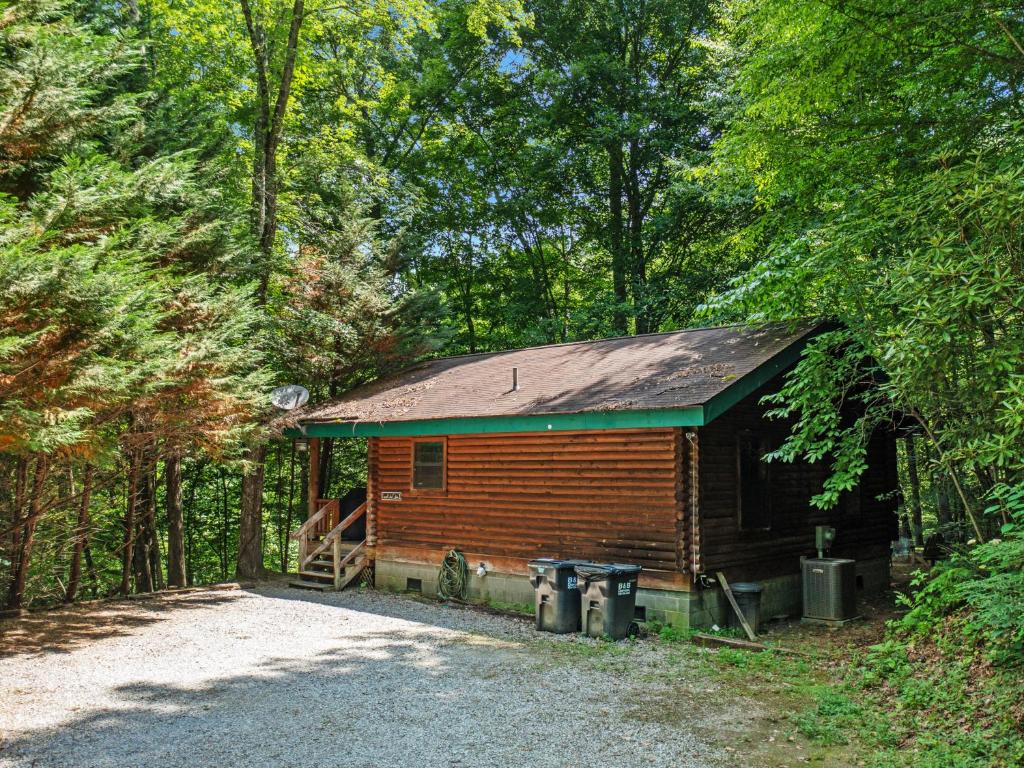 Good life cabin 2 · Bryson City cabin with hot tub and fire pit photo