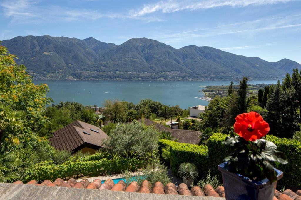 Boutique Hotel Albergo Brione - Resim 13