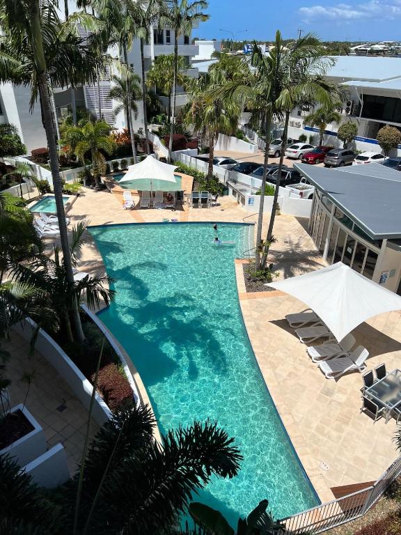 an overhead view of a swimming pool with palm trees at Bluewater Haven in Buddina