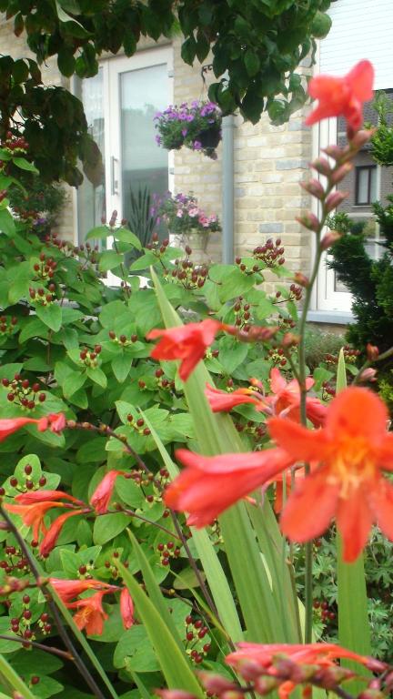 Zahrada ubytování B&B De Watering