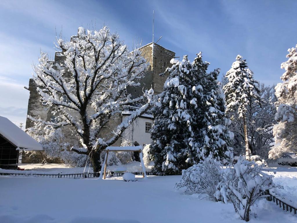 une cour enneigée avec des arbres et une maison dans l'établissement Urlaub in der Burg am Bodensee, à Kressbronn am Bodensee