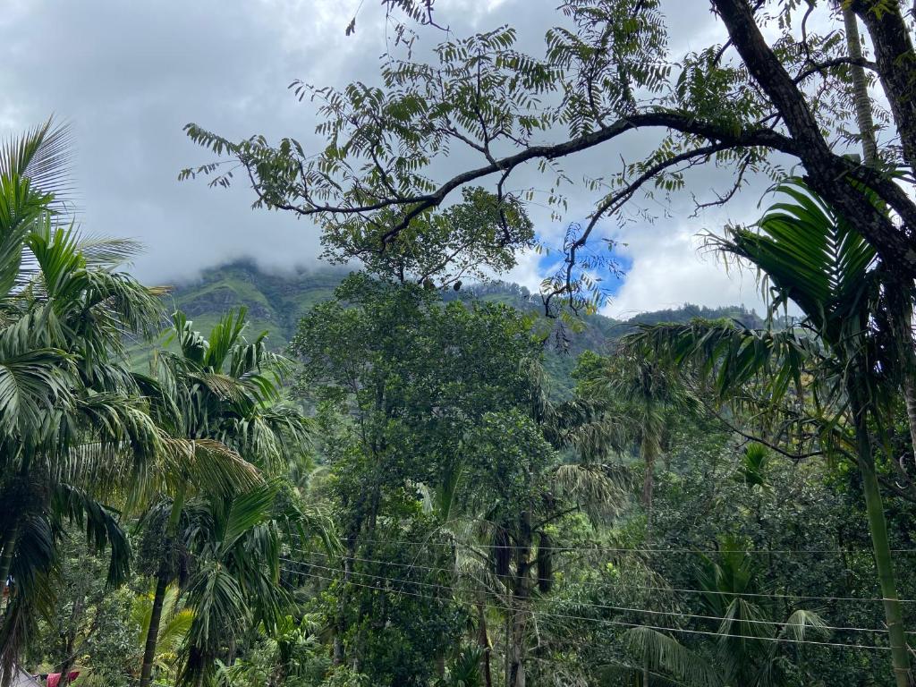 Afbeelding uit fotogalerij van Rockvin hotels in Mulhalkelle