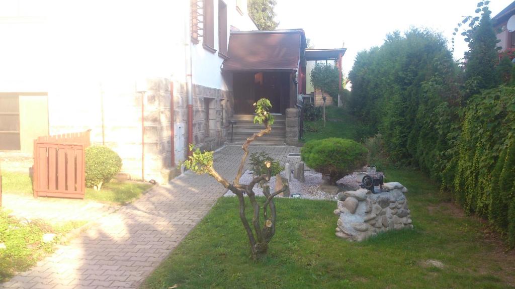 Zahrada ubytování Hotel Alfa