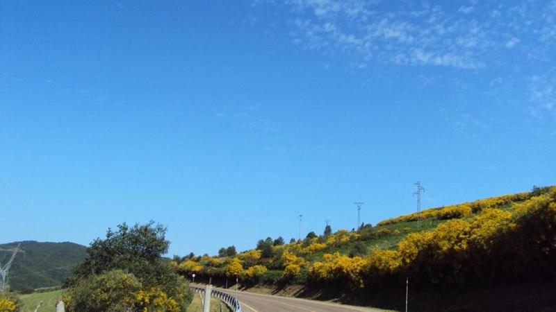 Paesaggio naturale nelle vicinanze della villa