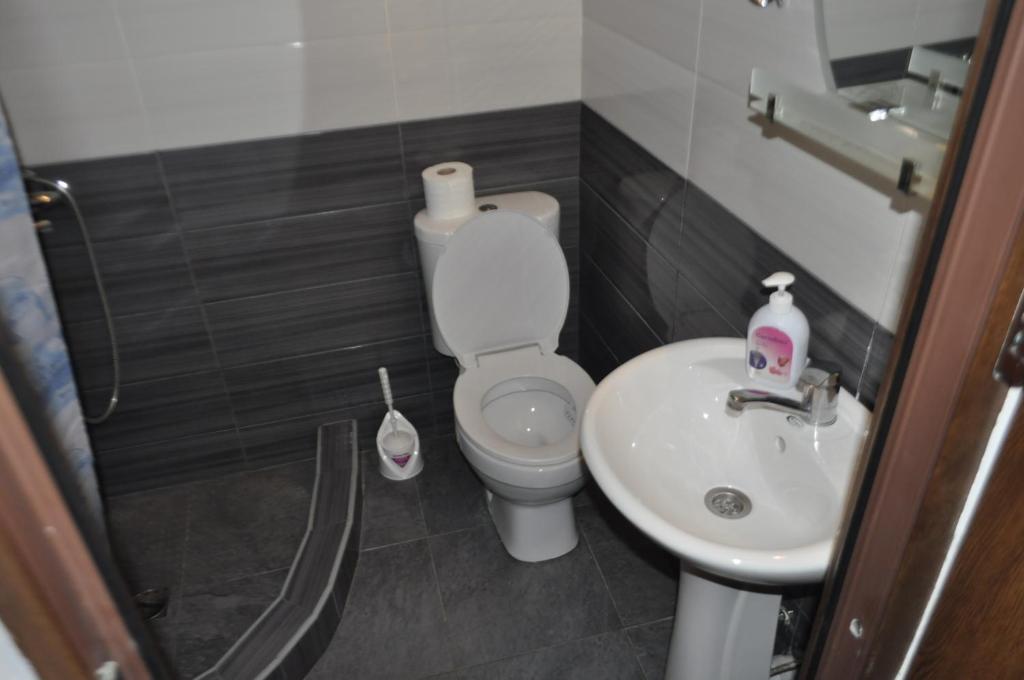 Koupelna v ubytování Guest House Mtskheta